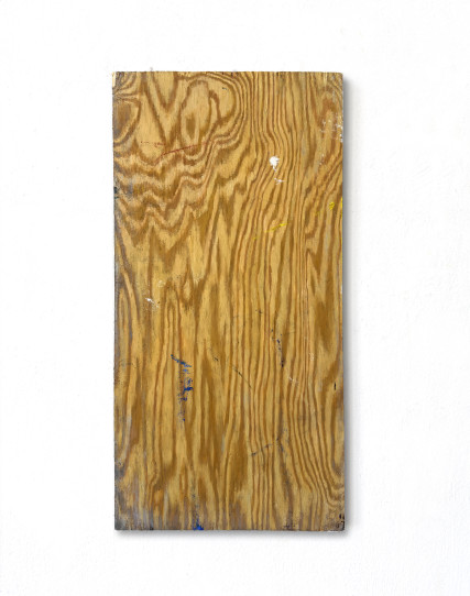 decor#14  2026  50 x 25 cm  oi